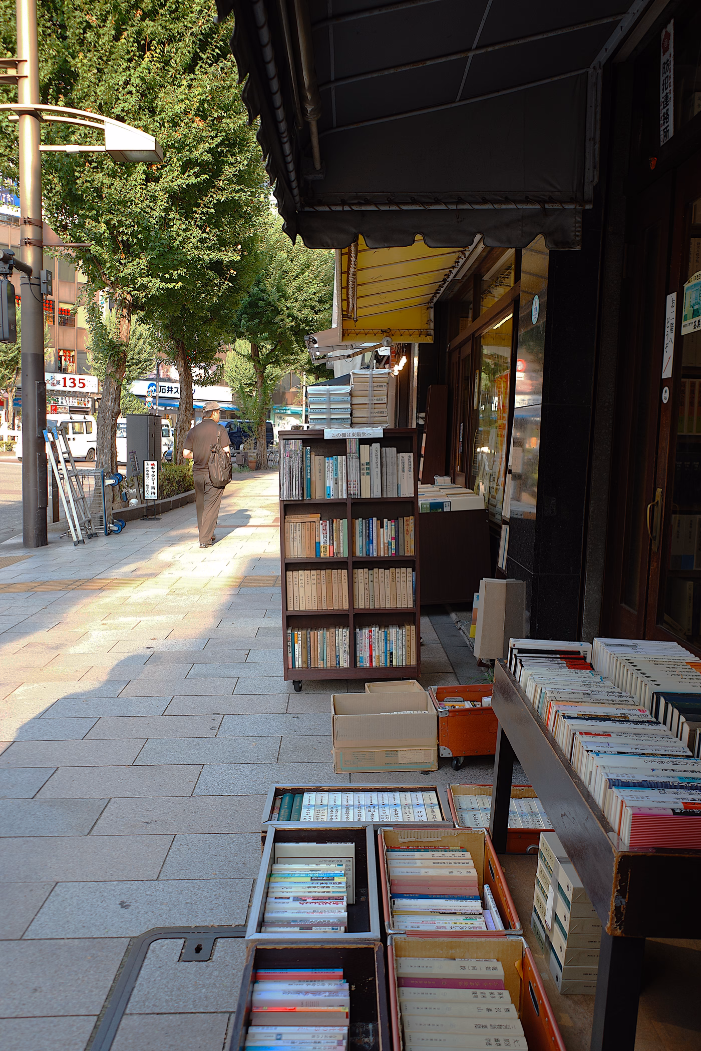 Passing reader in 神保町 (Jinbōchō)